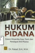 Hukum Pidana: dalam Dinamika Asas, Teori, dan Pendapat Ahli Pidana