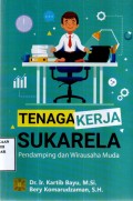 Tenaga Kerja Sukarela: Pendamping dan Wirausaha Muda