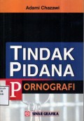 Tindak Pidana Pornografi